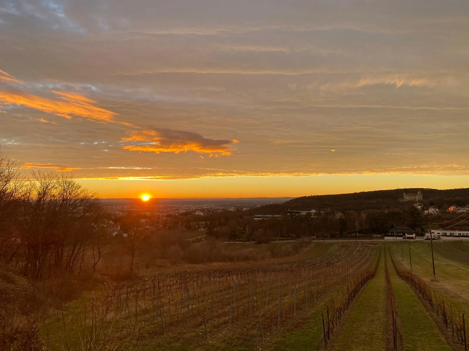 Rauchkogel mit Blick auf Burg Liechtenstein und Mödling